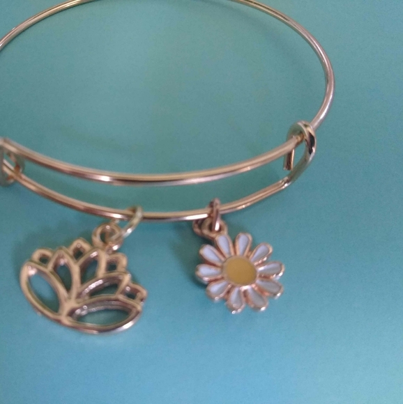 Expandable Charm Bracelets - Picture 11 of 16